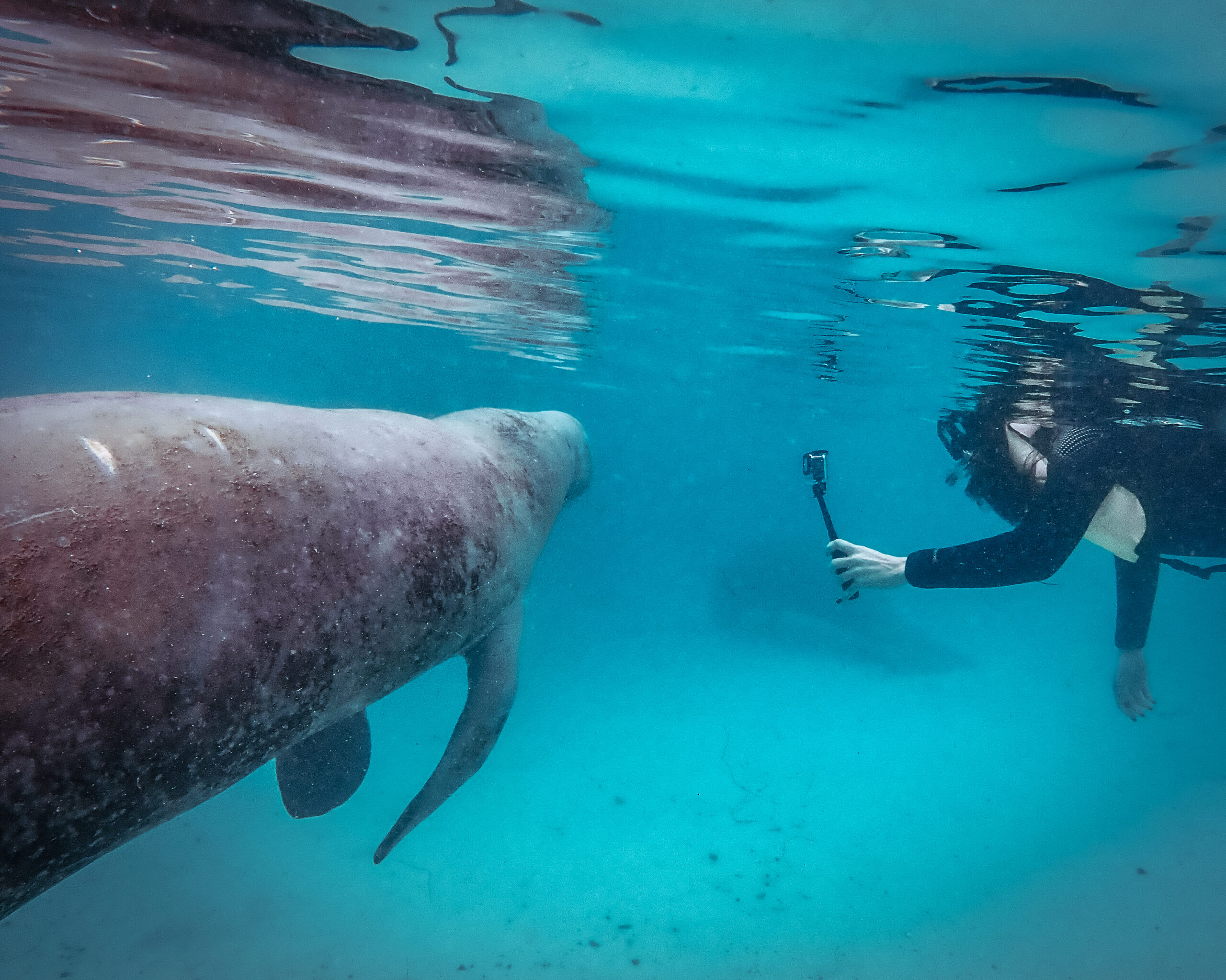 OLYMPUS DIGITAL CAMERA OLYMPUS DIGITAL CAMERA