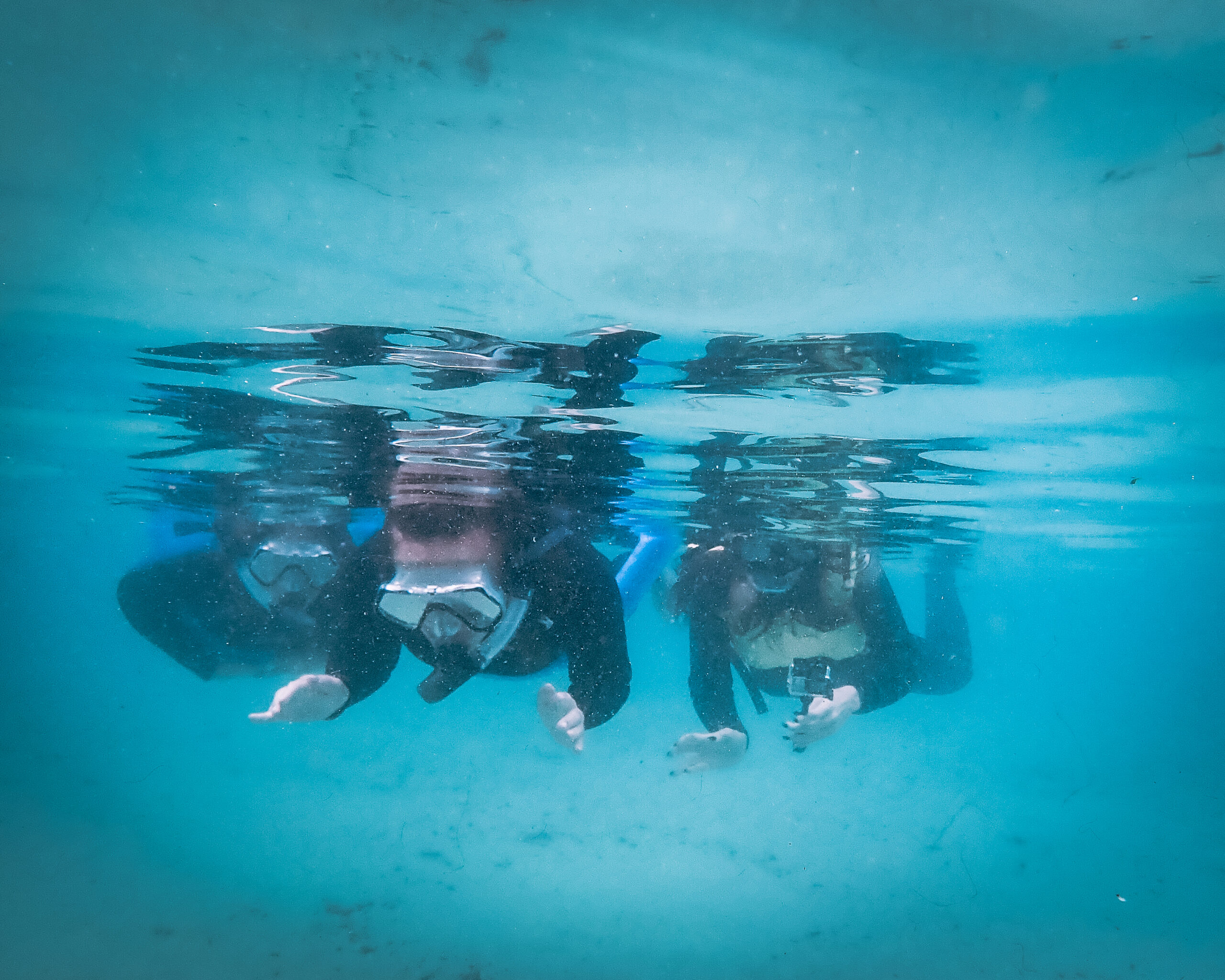 OLYMPUS DIGITAL CAMERA OLYMPUS DIGITAL CAMERA