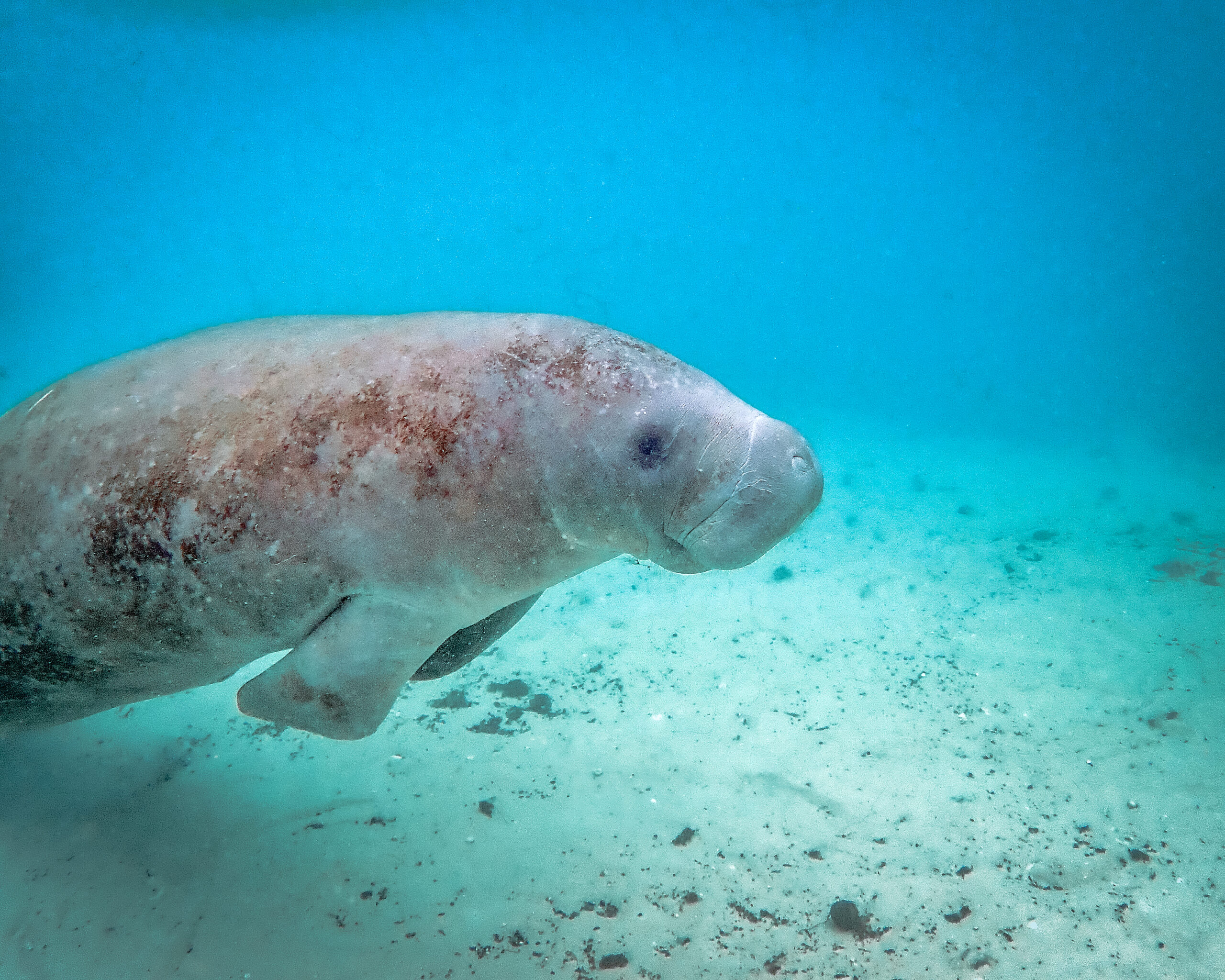 OLYMPUS DIGITAL CAMERA OLYMPUS DIGITAL CAMERA