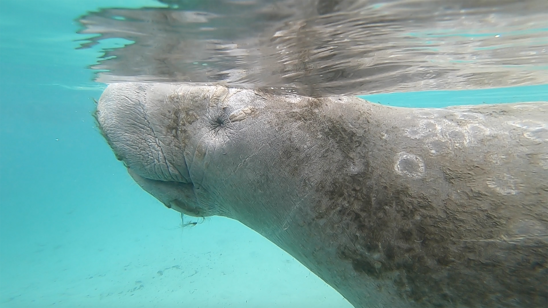 Screen Shot 2021-01-23 at 9.41.02 PM Screen Shot 2021-01-23 at 9.41.02 PM