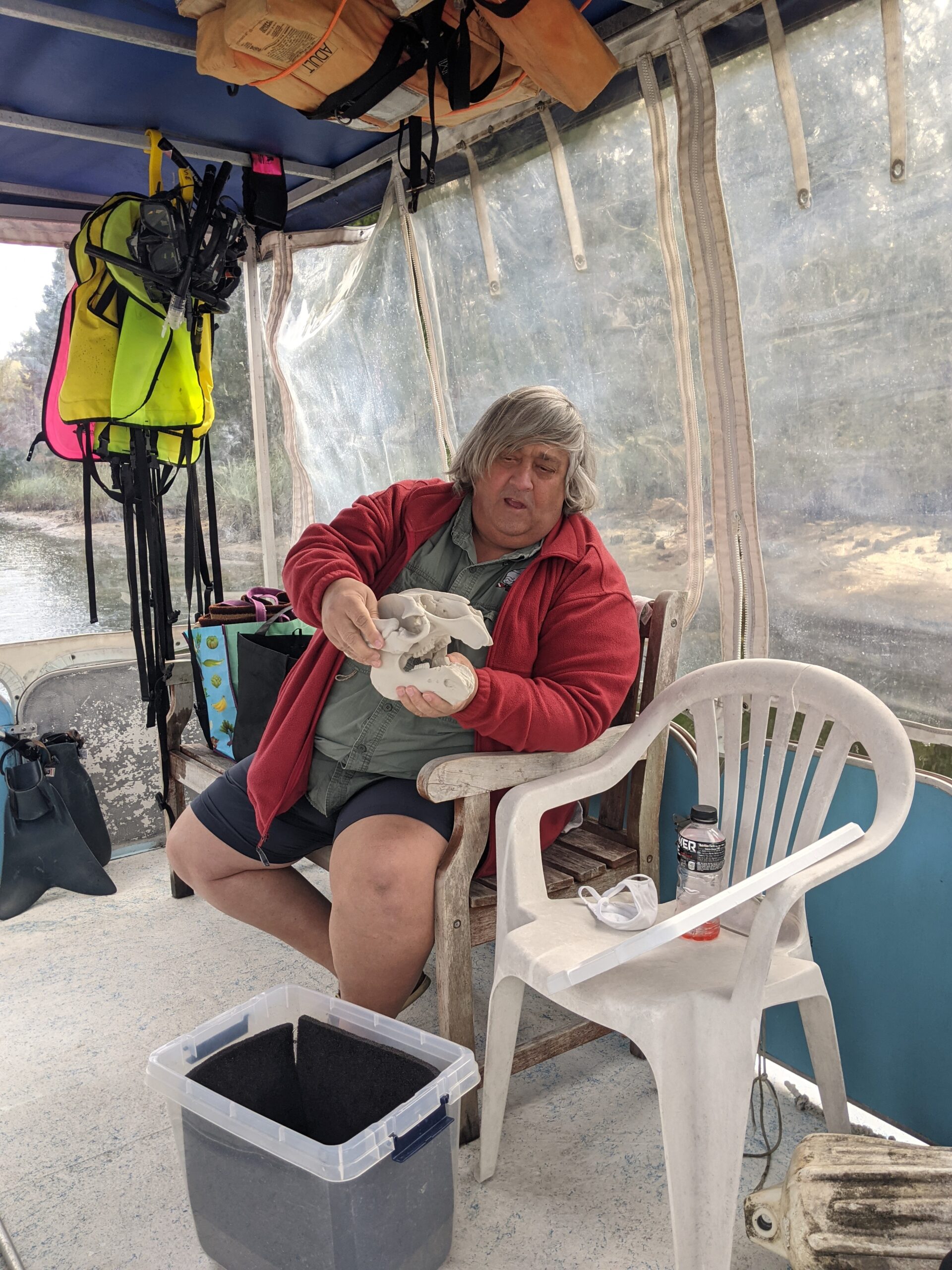 manateeskull2 manateeskull2