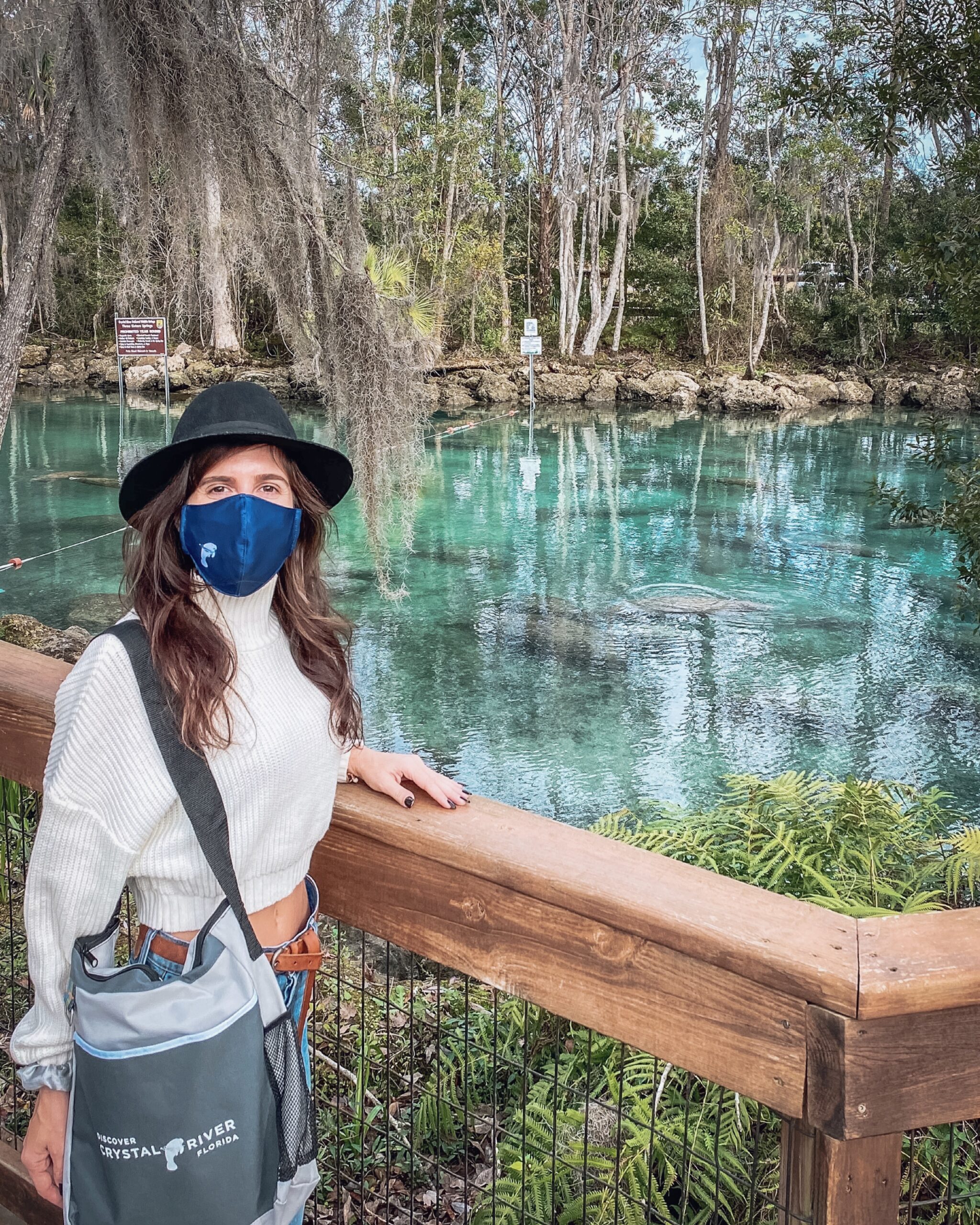 IMG_0690 3 IMG_0690 3