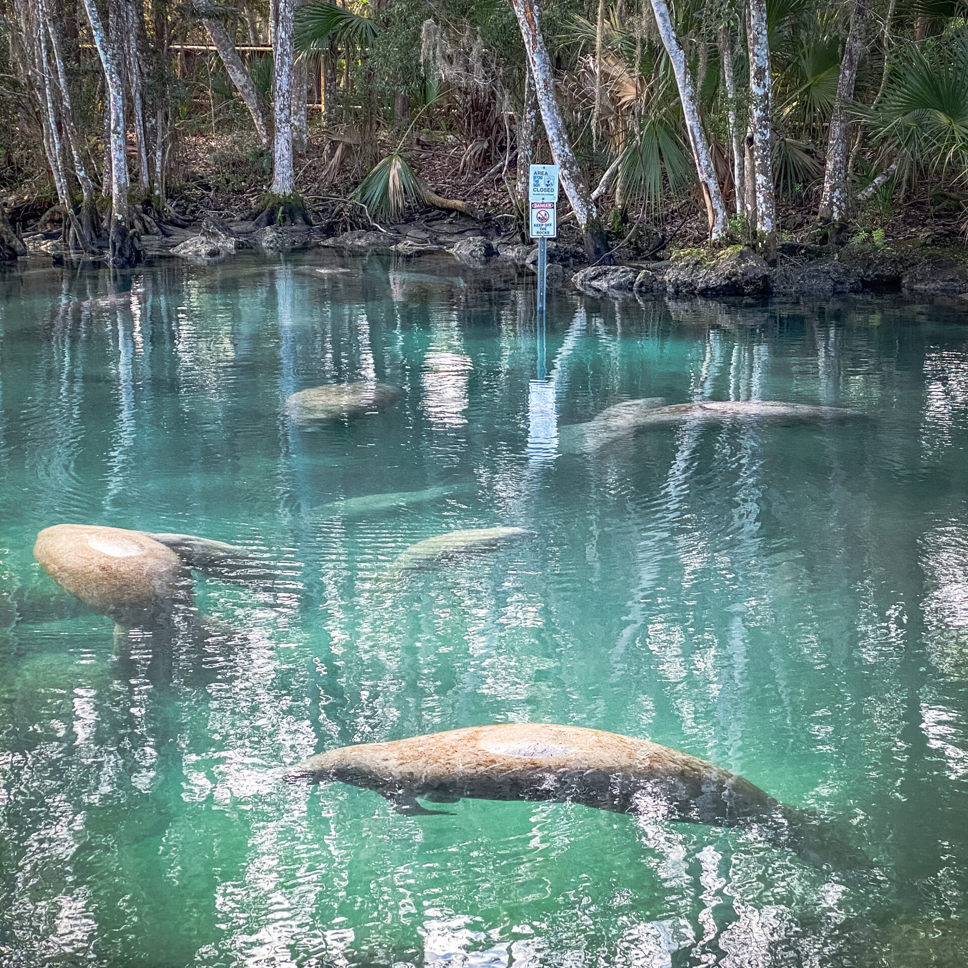 IMG_0410 3 IMG_0410 3