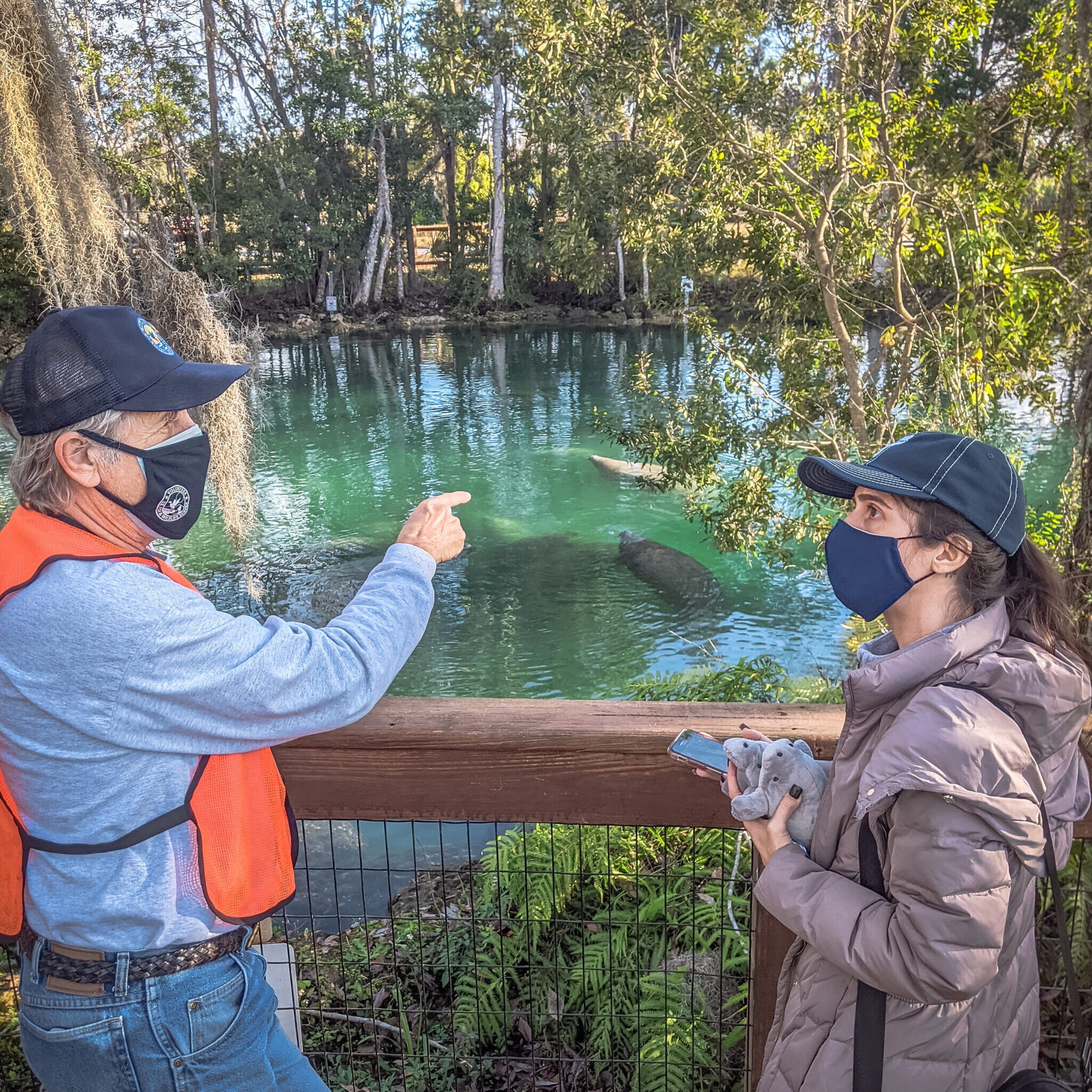 PXL_20210116_141602975.MP_Original PXL_20210116_141602975.MP_Original