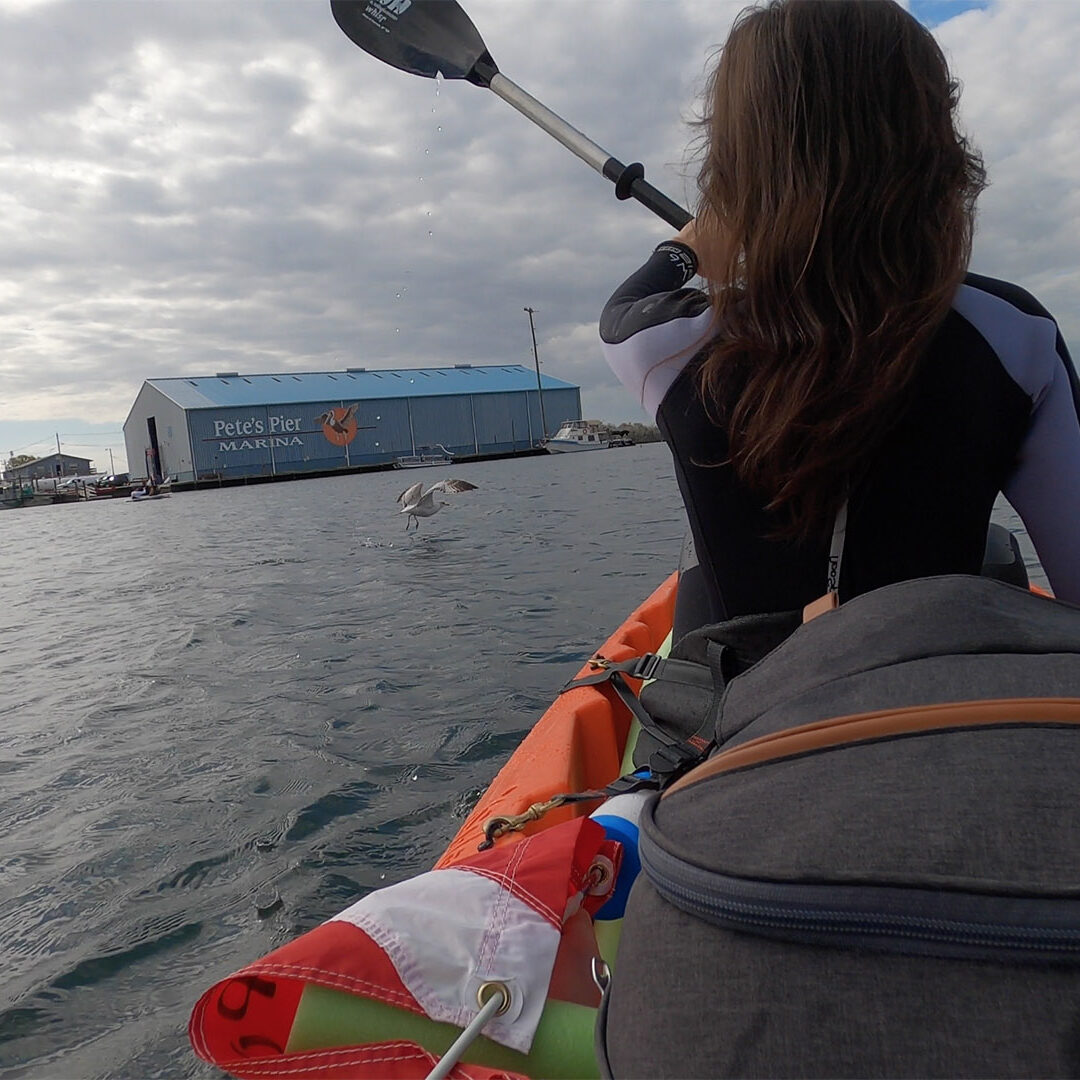 Screen Shot 2021-01-31 at 11.42.21 PM Screen Shot 2021-01-31 at 11.42.21 PM